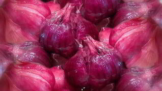 Квашеный чеснок