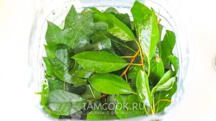 квашеные огурцы с горчицей