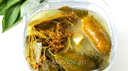 квашеные огурцы с горчицей