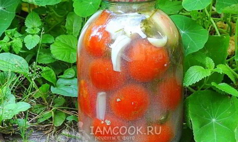 Рецепт квашеные помидоры в банках