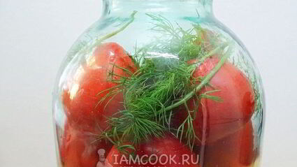 квашеные помидоры в банках