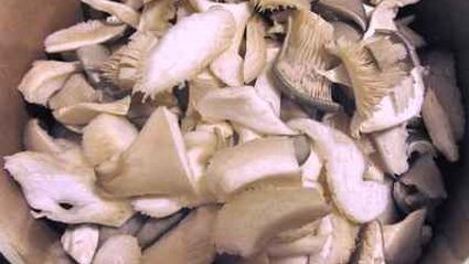 грибы маринованные