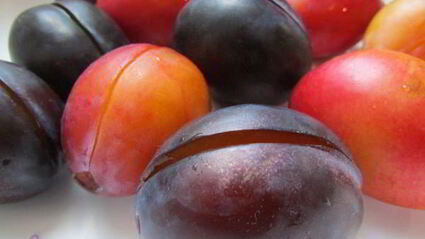 краснокочанная капуста, маринованная со сливами