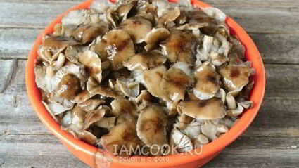 маринование опят на зиму