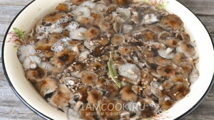 маринование опят на зиму