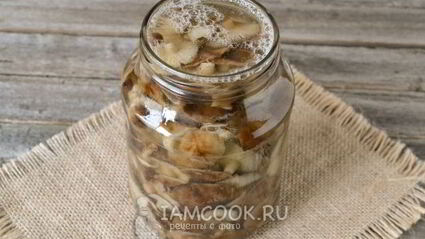 маринование опят на зиму