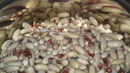 маринованная фасоль на зиму