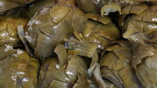 Маринованные артишоки