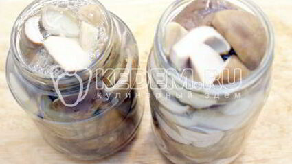 маринованные белые грибы на зиму