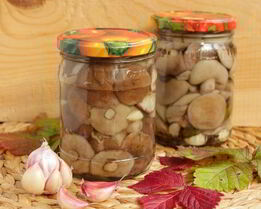 Маринованные маслята