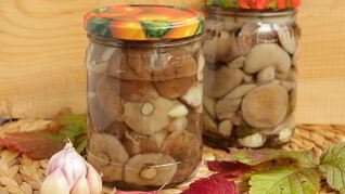 Маринованные маслята