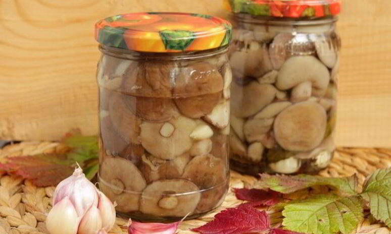 Рецепт маринованные маслята