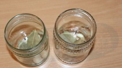 маринованные маслята