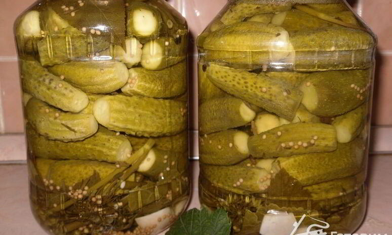 Рецепт маринованные огурчики по-польски