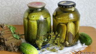 Маринованные огурцы с имбирем