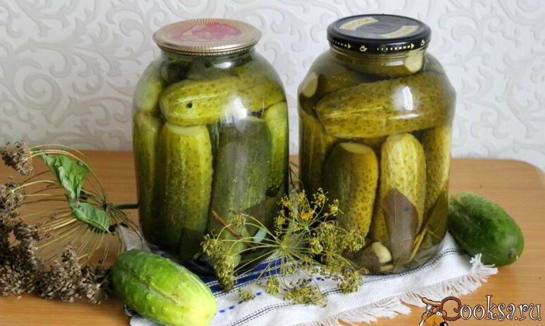 Рецепт маринованные огурцы с имбирем