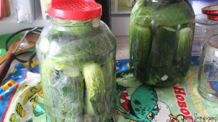 маринованные огурцы с имбирем