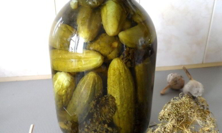 Рецепт маринованные огурцы