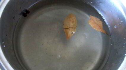 маринованные огурцы