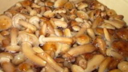 маринованные опята с уксусом