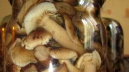 маринованные опята с уксусом