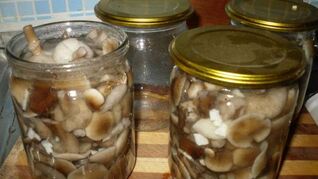 Маринованные опята