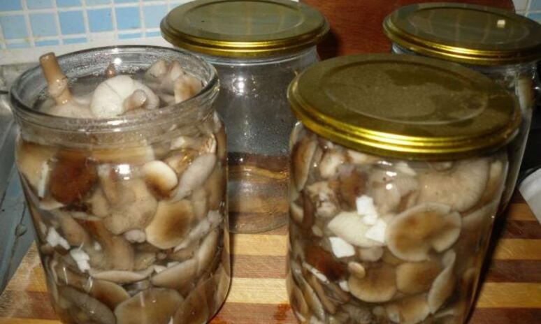 Рецепт маринованные опята