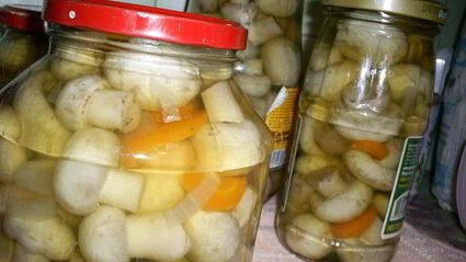 маринованные шампиньоны новогодние