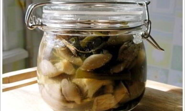 Рецепт маринованные вешенки в мультиварке