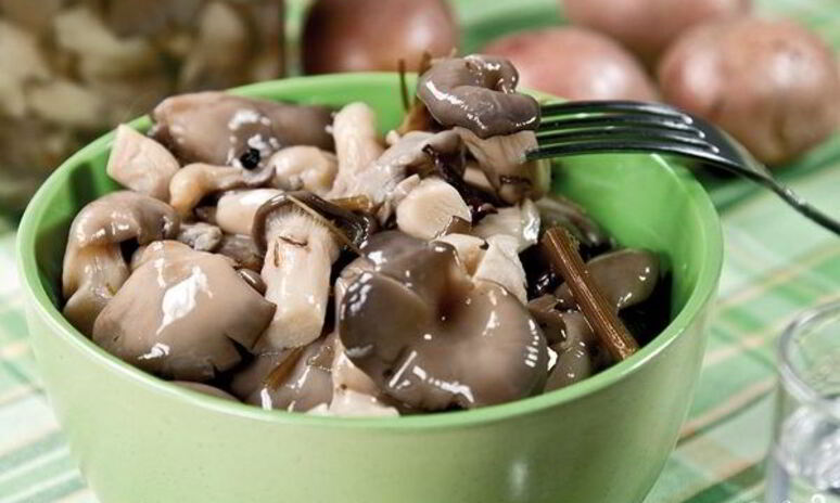 Рецепт маринованные вешенки за сутки