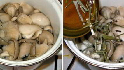 маринованные вешенки за сутки