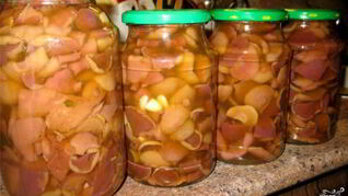 Моховики маринованные