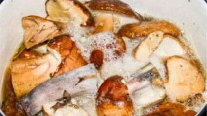 моховики маринованные