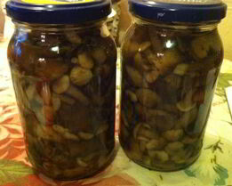 Опята маринованные на зиму