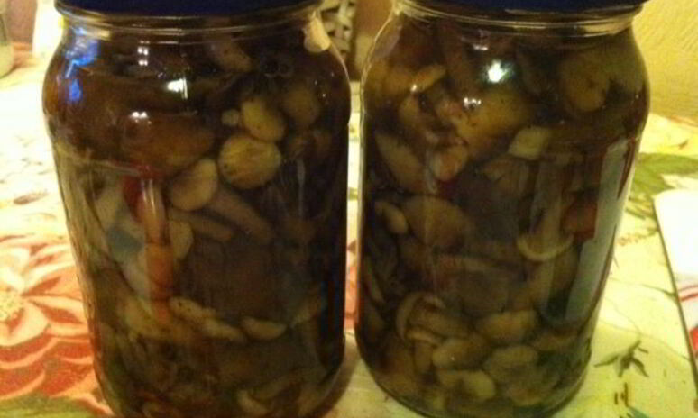 Рецепт опята маринованные на зиму
