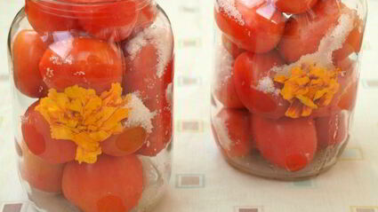 помидоры маринованные с бархатцами