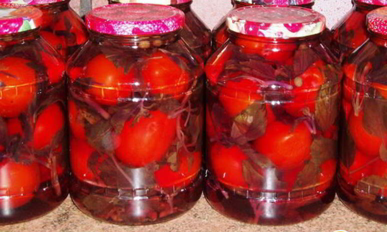 Рецепт помидоры маринованные с базиликовым ароматом