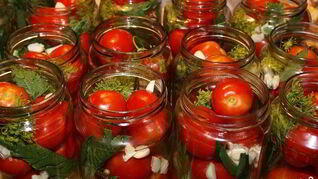 Помидоры маринованные