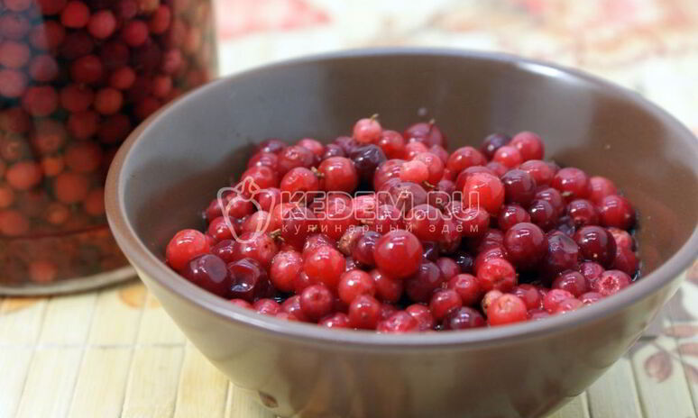 Рецепт моченая брусника на зиму