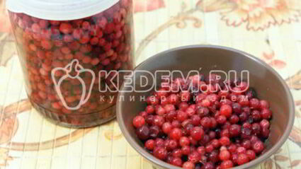 моченая брусника на зиму