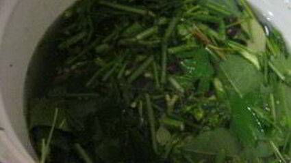 острые огурчики на зиму