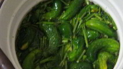 острые огурчики на зиму