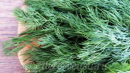 овощная приправа