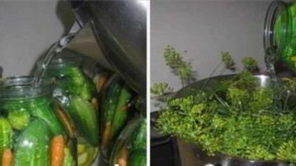 патиссоны, консервированные с огурцами