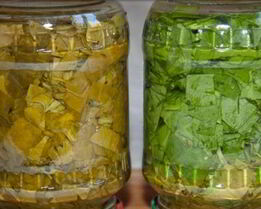 Щавель на зиму в банках