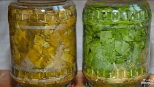 Щавель на зиму в банках