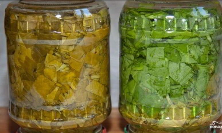 Рецепт щавель на зиму в банках