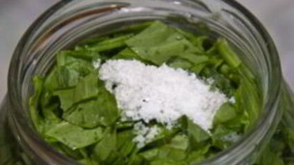 щавель на зиму в банках