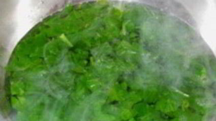 шпинат на зиму