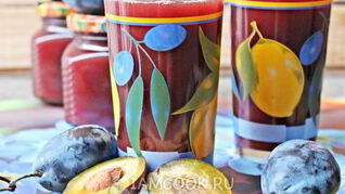 Сок из сливы на зиму через соковыжималку